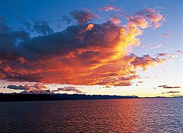 《最后的生还者多人版》取消反而获得玩家叫好